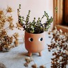 Sass & Belle Little Leggy Terracotta Planter