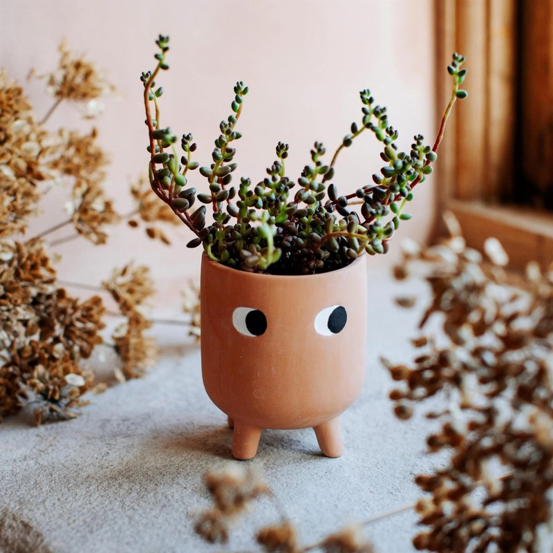Sass & Belle Little Leggy Terracotta Planter