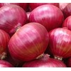 Onion RED Creole Great Heirloom Vegetable by Seed Kingdom 4,500