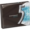 5 Gum Winter-Mint Ascent Sugar-Free Gum, 15 Count (Pack of