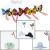 Vealind Interactive Indoor Cat Toy with 360° Rotating Butterfly (Butterfly