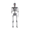 Home Accents Holiday 5 ft. LED Pose-N-Stay Ash Skeleton