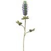 The Round Top Collection - Wildflower Bluebonnet Sm. - Metal