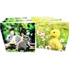 8 Happy Easter Cards with Envelopes (Bunny Rabbit and Chick)