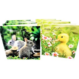 8 Happy Easter Cards with Envelopes (Bunny Rabbit and Chick)