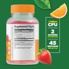 VitaWorks Lifeable Probiotic 2 Billion CFU + Calcium Magnesium, Gummies