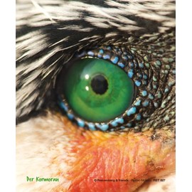 'Cleaning Cloth for Spectacles Eye of Kormoran "