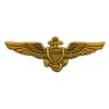 Naval Aviator Pilot Wings Patch [Hook Fastener - 4.0 X