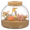 Cork Glass Bottle Container Tabletop Circle Vase Lid Plant Betta