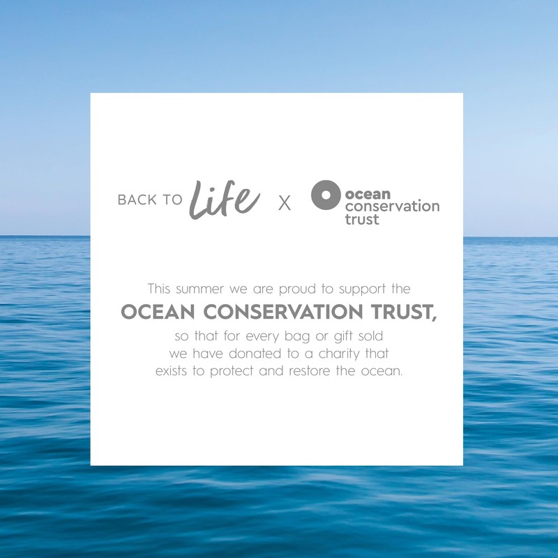 KERASILK Recovery Set