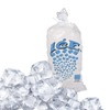 Perfect Stix Icebag10TT-50 Ice Bag with Twist Tie Enclosure, 10