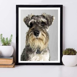 Dog Miniature Schnauzer Animal Puppy DIY 5D Diamond Painting Kit for Adults Beginner Round Full Drill Resin Beads Diamond Dots Art Craft Home Wall Decoration Set 30x40cm / 12x16in