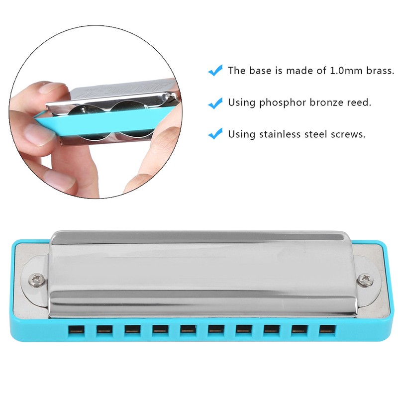 Blues Harmonica 10‑Hole Mouthorgan Eb Key ABS Resin Comb Beginner