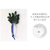 Moa Feteli (Moa Feteli) Luck, Feng Shui, Luck Up, Sakaki,