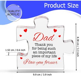 Engraved Acrylic Block Puzzle - Cool Father's Day Presents from Daughter, Son, Mom - Heartwarming Men Birthday Gift, Ideas