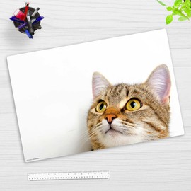 Desk Mat for Children and Adults - "Cat View" - Made of Premium Vinyl (Plastic) - 60 x 40 cm - Non-Slip Desk Mat for Best Protection - Made in Germany