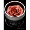 RADIANT ROSES GEM IN EYE BLUSH & BLOOM™ | EXPERIENCE