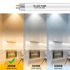 Wesome Lighting 12 Inch F8T5/WW LED Replacement Bulbs, 3000K Warm