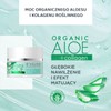 Eveline Cosmetics Organic Aloe + Collagen Moisturising and Mattifying Face
