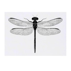 'Dragonfly Top View' Temporary Tattoo - Water Resistant, Skin-Safe, Non-Toxic Transfer (TO00077285)