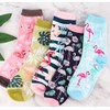 Flamingo Socks Gift Box 5 Pairs of Flamingo Socks Gift