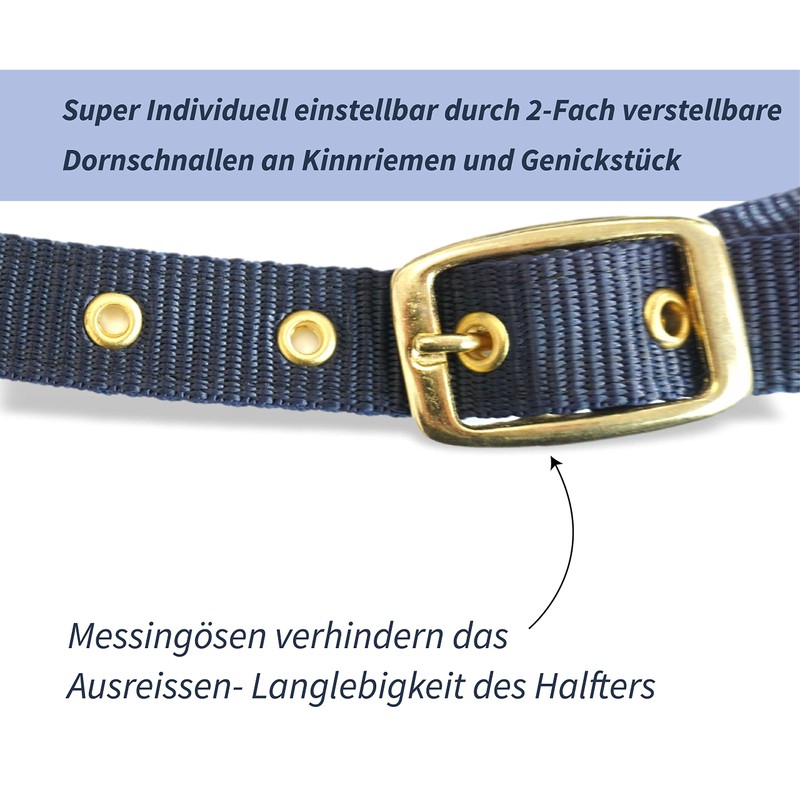 Headcollar for Horses, Stylish Headcollar Blue, 2-Way Adjustable Buckles, Shetty,