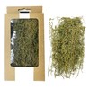 Cayway Miniature Shrubs Model Bushes Long Shrub Vegetation Groups Static