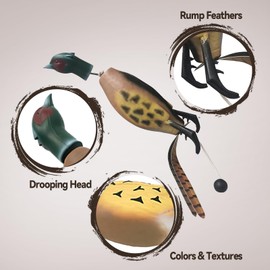 SYWAN Duck Dog Training, Pheasant Dog Training Dummies for Dog Training Hunting Dog Accessories Dogs Training Dummy Bumper Retriever Floating De-ad Bird Fowl Trainer Hunting Retriever (Pheasant)