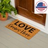 Evergreen Flag Funny Welcome Mat Coir Doormat | 28" x