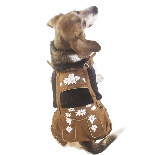 EINSZWEIDOG Oktoberfest German Dog Lederhosen, Multiple Sizes (8XL)
