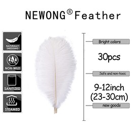 NEWONG 30pcs Black Ostrich Feathers Natural Bulk 9-12inch(23-30cm) Vase Craft Wedding Home Party Centerpieces Christmas Day Decoration