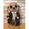Vivid Arts Meerkats Wizard by Pet Pals