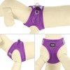 YIMEIS Dog Harness and Leash Set, No Pull Soft Mesh