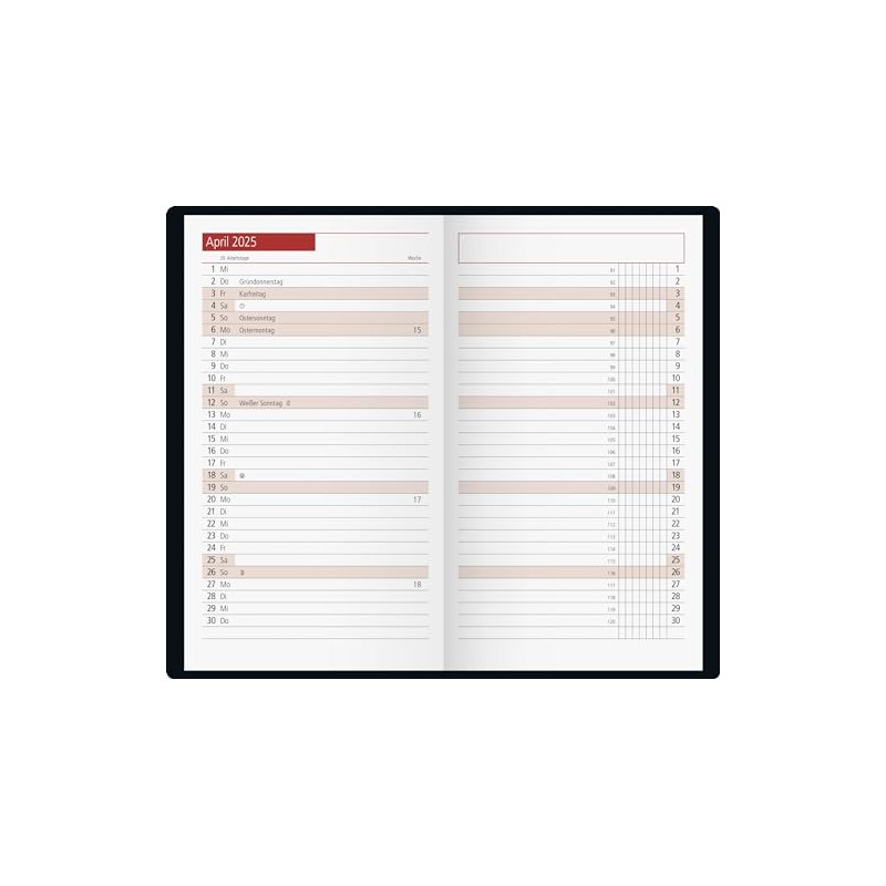 rido/idé Pocket Diary Model TM 11 (2025), 2 Pages =