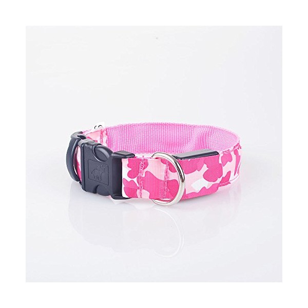 A4DOG LED Dog Collar, USB Rechargeable Light Up Collar, Night