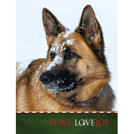 "Keeping Watch" German Shepherd - Boxed Christmas Cards - 5 5/8 x 7 3/8 Inches - 15 Heavyweight Cards and 16 Envelopes