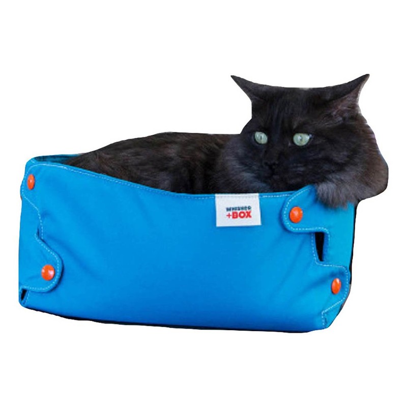 Whisker + Box Cat Compression Box Charcoal