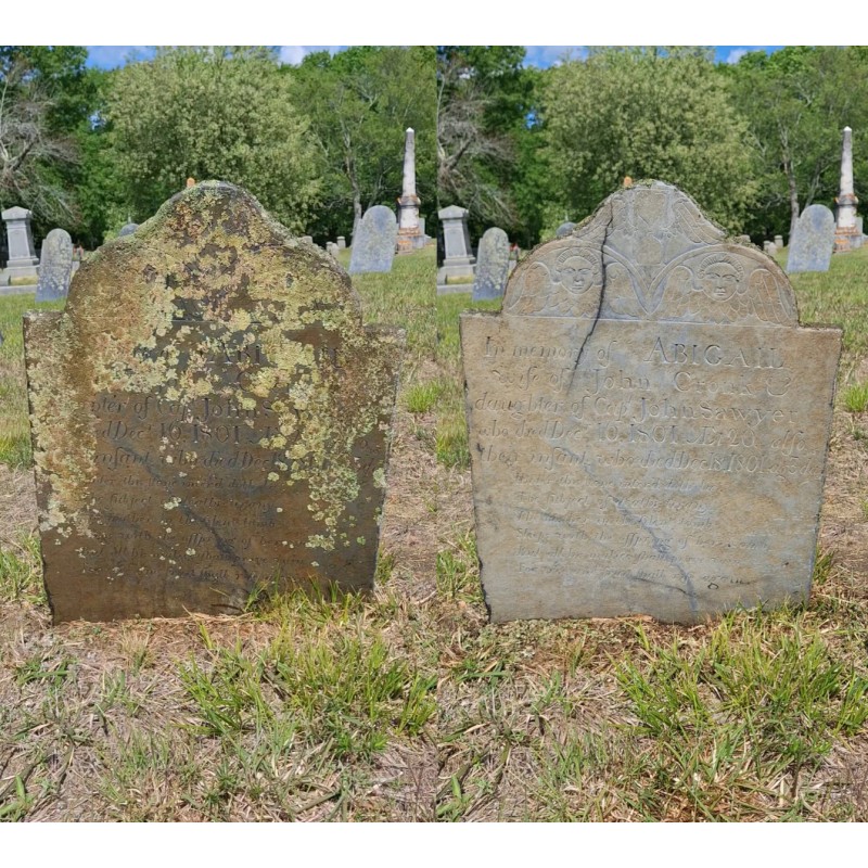 Endurance Gravestone & Monument Cleaner - 6 Quart Case (Spray