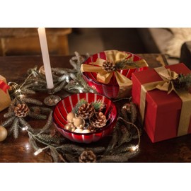 Guzzini - DOLCEVITA L Bowl - Red, Diameter 25 x Height 10.5 cm | 3000 cc - 29690265