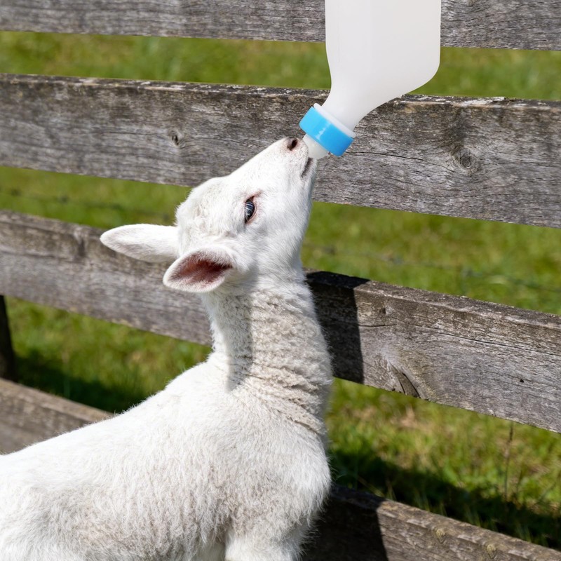 2PCS 800ml Lamb Feeding Bottle Goat Feeder Bottles Hang Upside