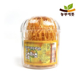 국산 동충하초 홍 밀리타리스 40~45g Korean Cordyceps Red Militris 40~45g