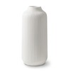 flature Ceramic Vase with Grooves - for Pampas Grass as