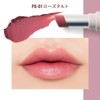 Matte Lipstick (PK-01 Rose Tart)
