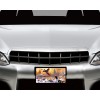 Twisted R Design Pheasant Hunting Dog Front License Plate Car