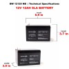 Bright Way Group BW12120NB 12 Volt 12 Amp Hour NB