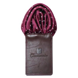 COXSWAIN CW-PC051 Pocket Square, Paisley Pattern, British Silk, Jacquard Weave, Wine Color, Made in Japan, Just Insert in Chest Pocket