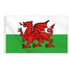 Welsh Flag,3x5 FT Wales Dragon Flag,36x60 Inch Large Digitial Double-Printed