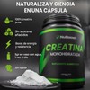 Creatina Alta Pureza 90 raciones, 5g por ración, 450g, Creatina