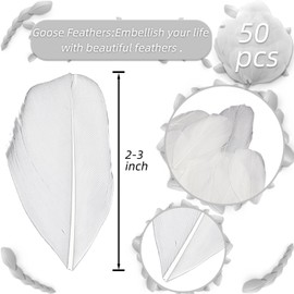 50 Pieces Natural Goose Feathers, 2-3 Inch Craft Feathers for Centerpieces, Bulk Colorful Feather for Gatsby Party, Weddings Dress and Birthday Home Party Decoration (White)