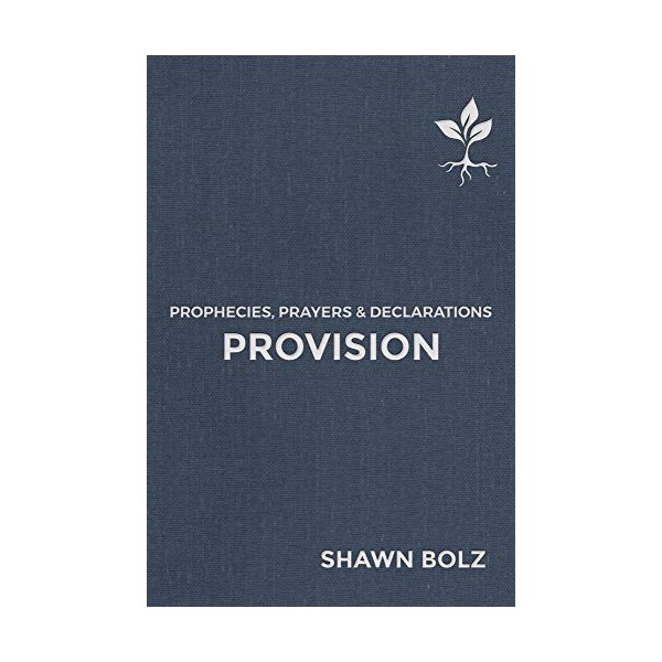 Provision: Prophecies, Prayers & Declarations (2)